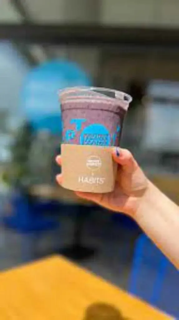 Mora Mora Platillos Con Crema Menú